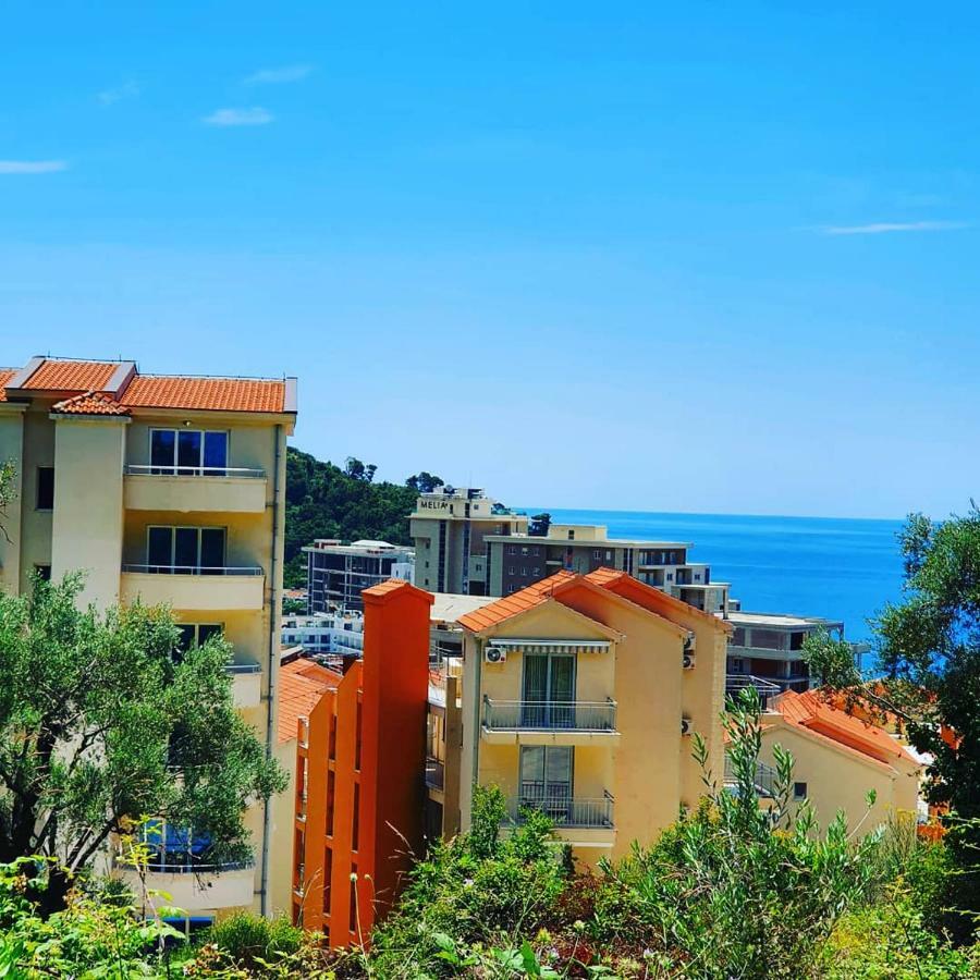 Panorama Petrovac Leilighet Eksteriør bilde
